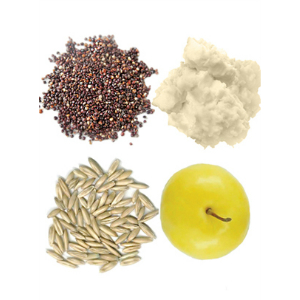 ローランド オーウェイ インフィーネ