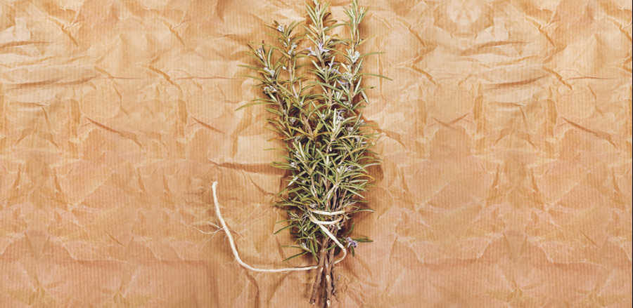 口コミ ローランド オーウェイ ローランド オーガニックウェイ Engaro Online Shop